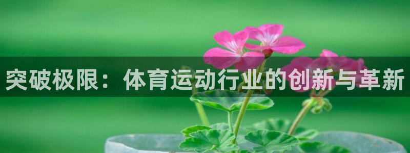 bbin视讯：突破极限：体育运动行业的创新与革新