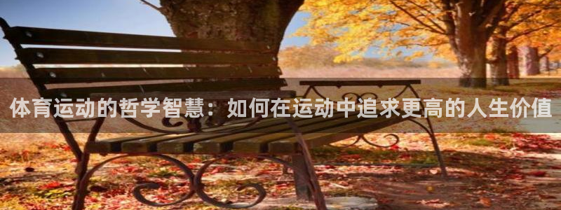 bbin视讯下：体育运动的哲学智慧：如何在运动中追求更高的人生价值