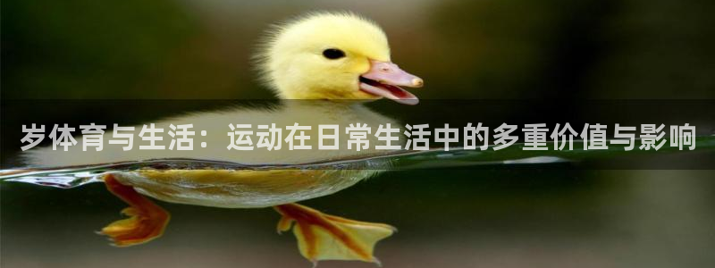 bbin视讯游戏平台：岁体育与生活：运动在日常生活中的多重价值与影响
