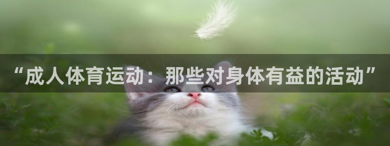 bbin视讯游戏官网：“成人体育运动：那些对身体有益的活动”