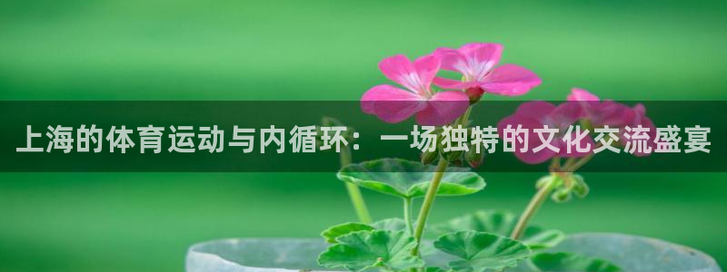 bbin视讯下