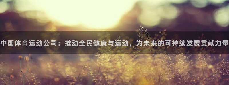 bbin视讯游戏平台：中国体育运动公司：推动全民健康与运动，为未来的可持续发展贡献力量