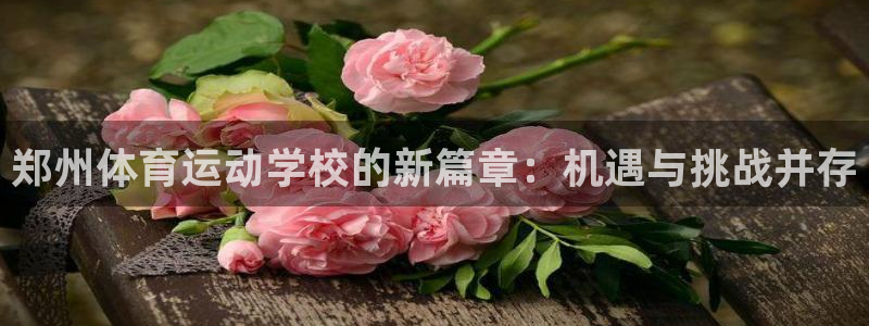bbin视讯游戏官网：郑州体育运动学校的新篇章：机遇与挑战并存