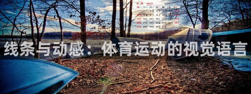 bbin视讯下：线条与动感：体育运动的视觉语言