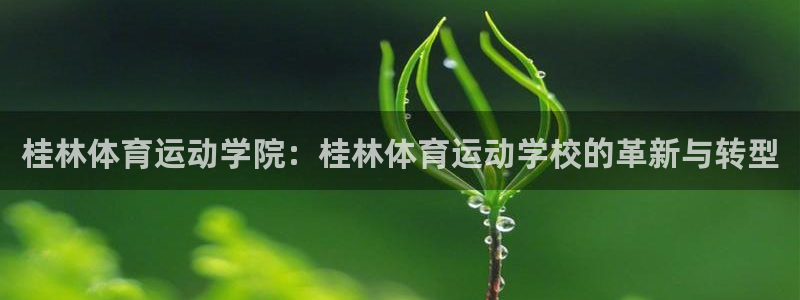 bbin视讯：桂林体育运动学院：桂林体育运动学校的革新与转型