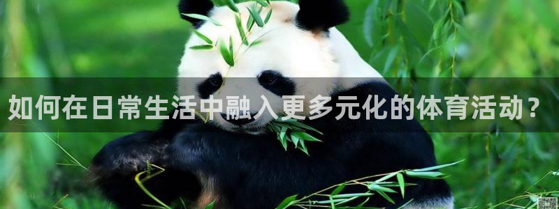 bbin视讯：如何在日常生活中融入更多元化的体育活动？