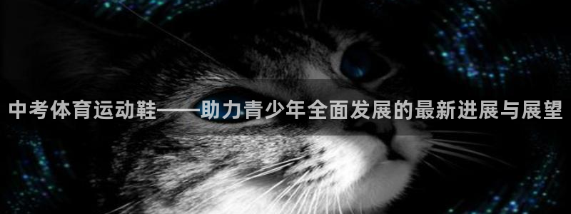 bbin视讯下：中考体育运动鞋——助力青少年全面发展的最新进展与展望