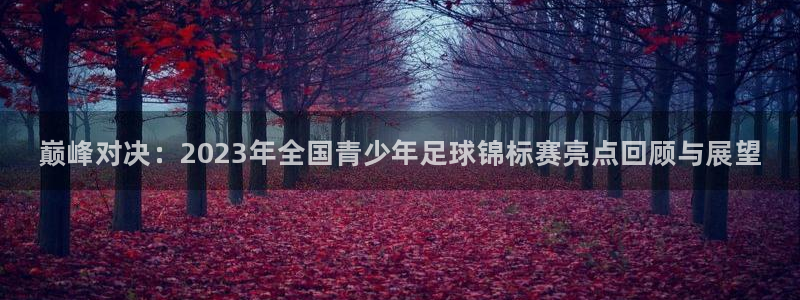 bbin视讯游戏平台：巅峰对决：2023年全国青少年足球锦标赛亮点回顾与展望