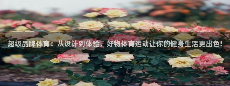 bbin视讯下：超级品牌体育：从设计到体验，好物体育运动让你的健身生活更出色!