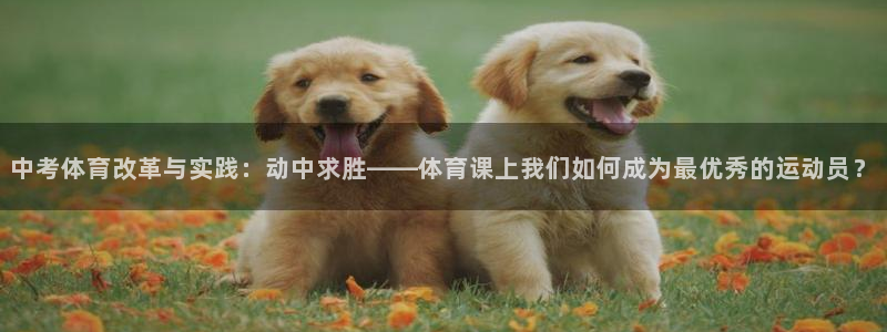 bbin视讯游戏官网：中考体育改革与实践：动中求胜——体育课上我们如何成为最优秀的运动员？