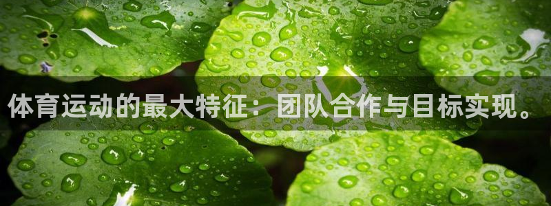 bbin视讯游戏平台：体育运动的最大特征：团队合作与目标实现。