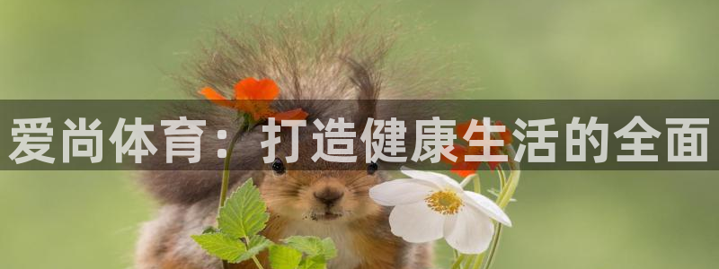 bbin视讯：爱尚体育：打造健康生活的全面