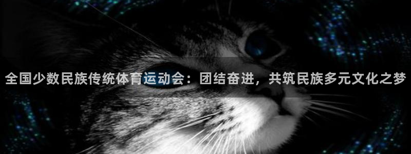 bbin视讯游戏官网：全国少数民族传统体育运动会：团结奋进，共筑民族多元文化之梦