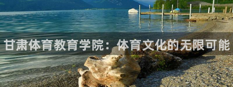 bbin视讯下：甘肃体育教育学院：体育文化的无限可能