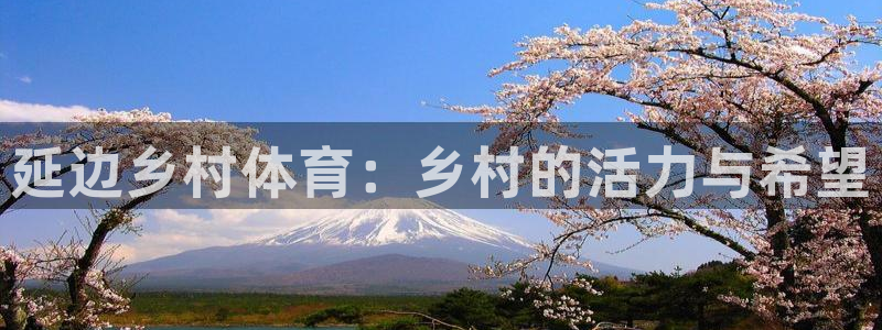 bbin视讯游戏官网：延边乡村体育：乡村的活力与希望