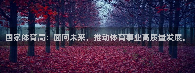 bbin视讯：国家体育局：面向未来，推动体育事业高质量发展。