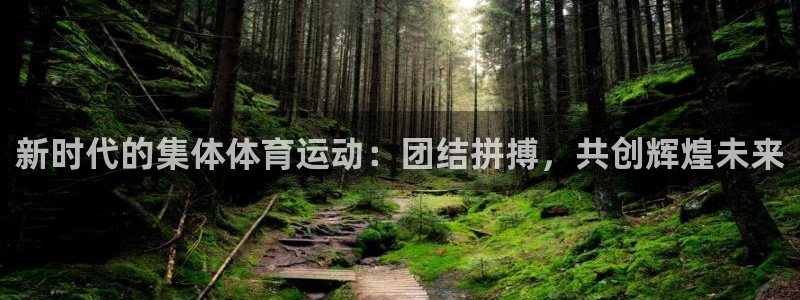 bbin视讯下：新时代的集体体育运动：团结拼搏，共创辉煌未来
