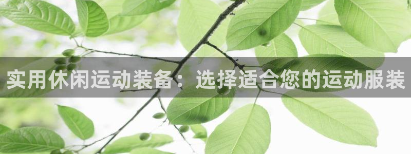 bbin视讯游戏官网