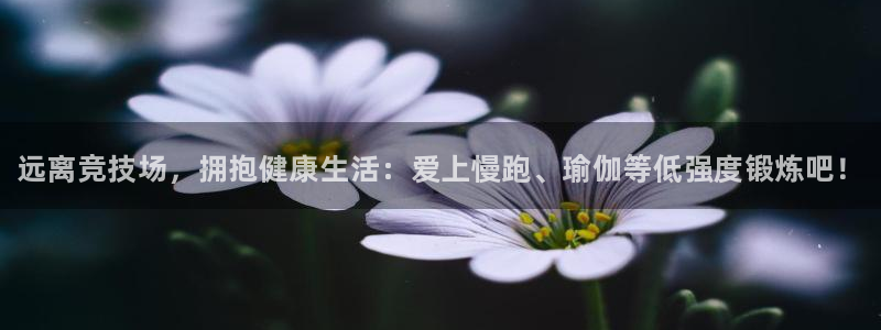 bbin视讯游戏官网