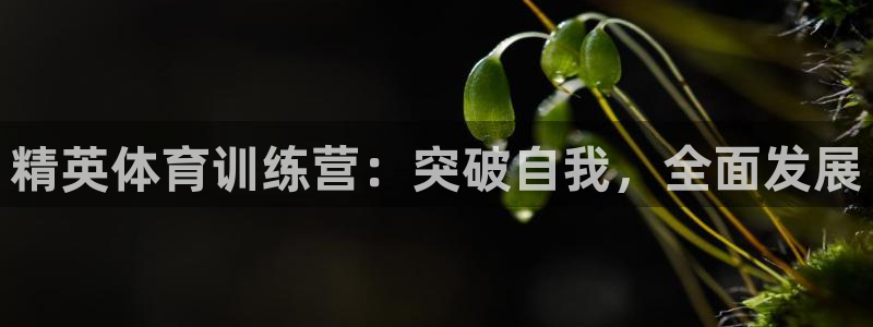 bbin视讯