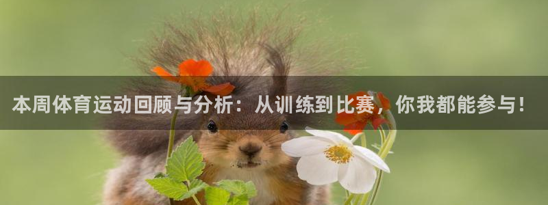 bbin视讯游戏官网