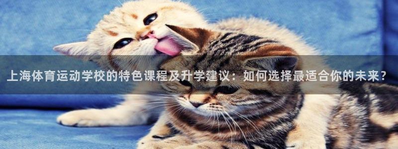bbin视讯游戏官网