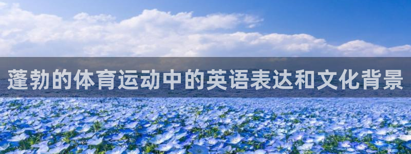 bbin视讯游戏平台