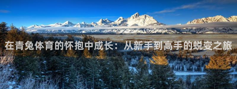 bbin视讯游戏官网：在青兔体育的怀抱中成长：从新手到高手的蜕变之旅