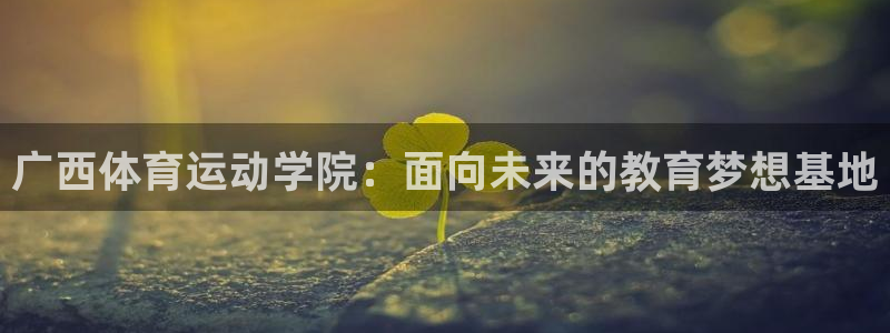 bbin视讯：广西体育运动学院：面向未来的教育梦想基地